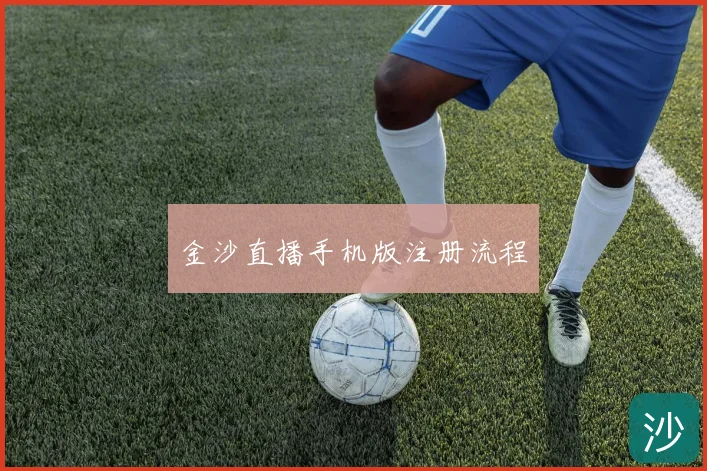 金沙直播手机版注册流程